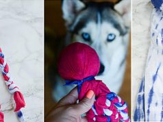 5 Easy Upcycling Projects for Pet Parents