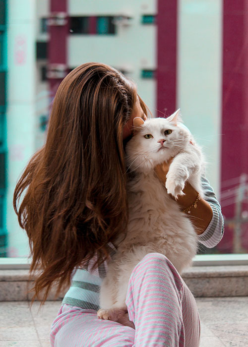 12 Ways to Celebrate International Cat Day with Your Cat