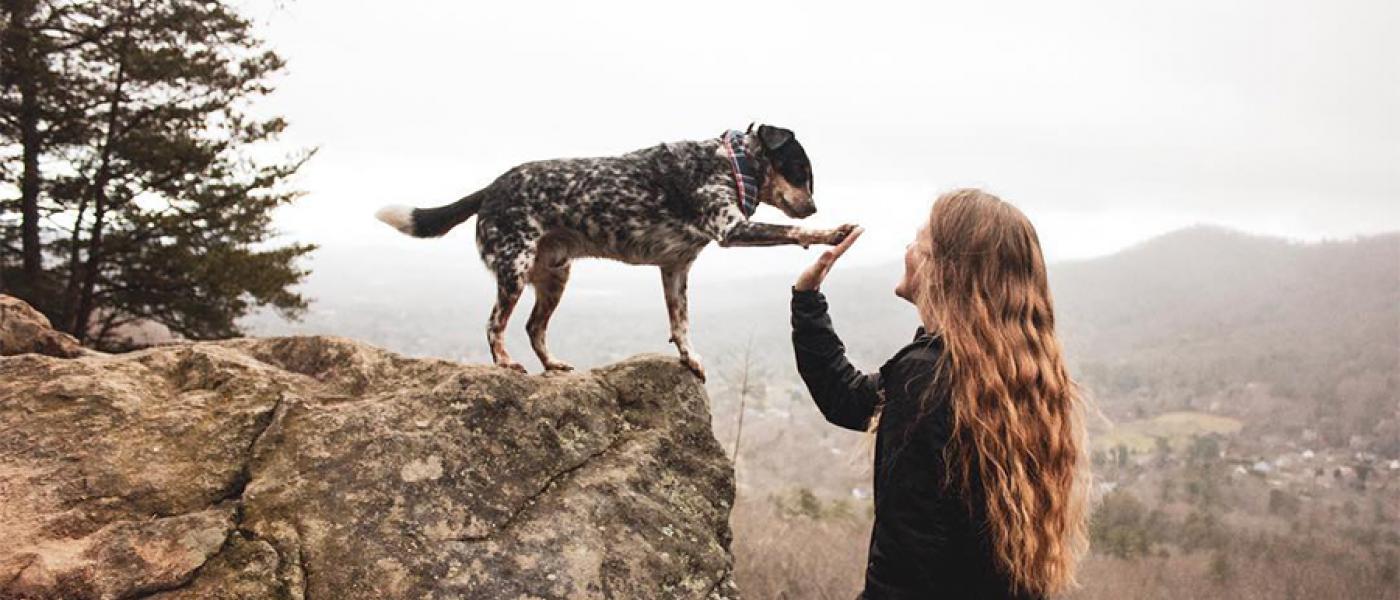 5 Ways to Make Outdoor Excursions with Your Pet More Eco-Friendly