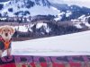 How to Ski and Snowboard With Your Adventure Dog