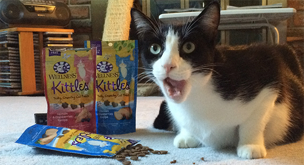 This Valentine&#039;s Day, How Far Will These 10 Cats Go For Wellness Kittles?