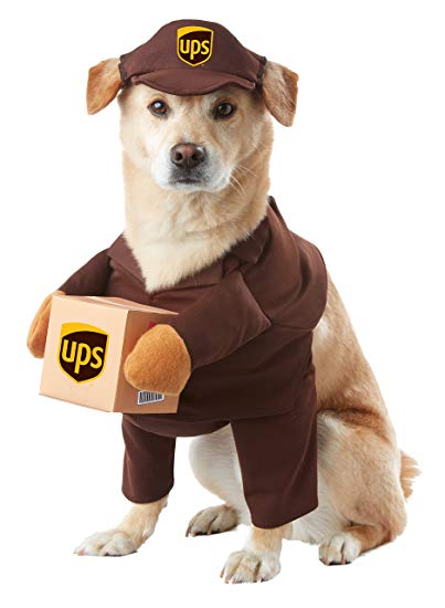 Top 10 Halloween Costumes for Dogs 2018