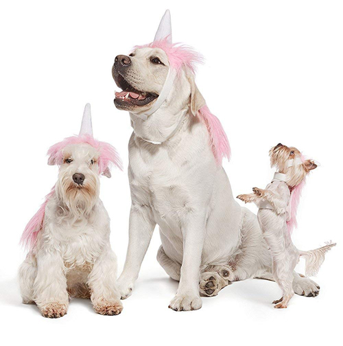 Top 10 Halloween Costumes for Dogs 2018