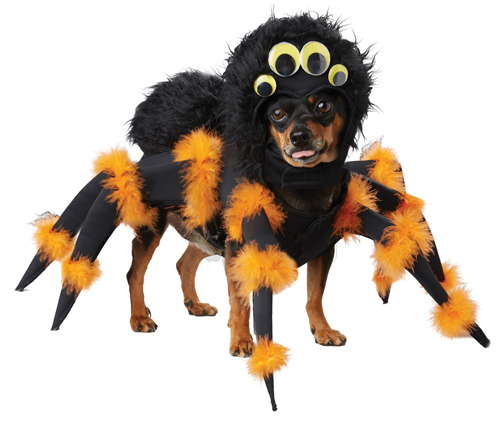 Top 10 Halloween Costumes for Dogs 2018