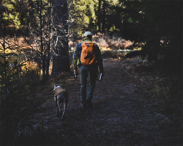 7 Ways to Say ‘I Love You’ to Your Pet In Their Language