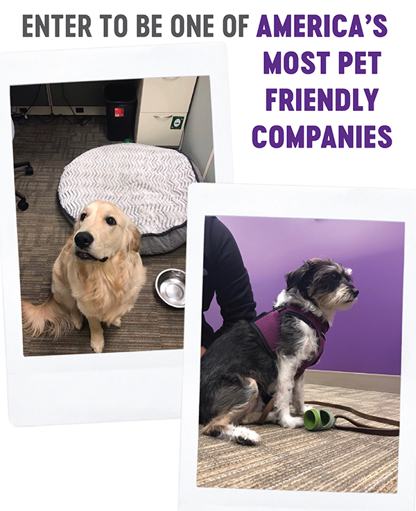 Wellness Natural Pet Food Announces Call for Entries for America&#039;s Most Pet Friendly Companies