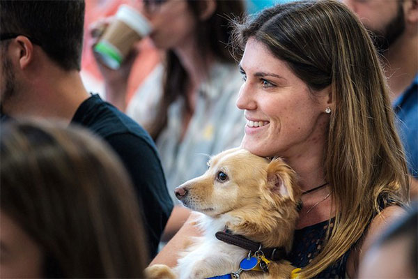 America’s 10 Most Pet Friendly Companies of 2019