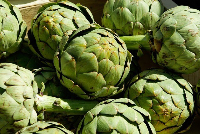 Can Dogs Eat Artichoke ? This is actually the Surprise in your life