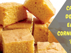 Can Dogs Eat Cornbread? Here's All you need to Know