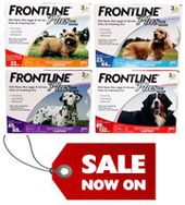 Frontline Plus Can Save Your Pet&#039;s Life By Icky Parasites