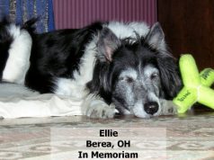 Your Opportunity to Tell Brands and Regulatory what you look for!