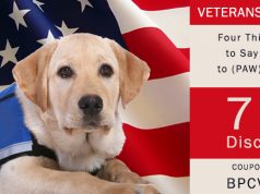 Ways To Say Thanks To Old soldiers on Veteran's Morning