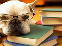 10 Top Rated, Classic Dog Training BooksBy DogTime