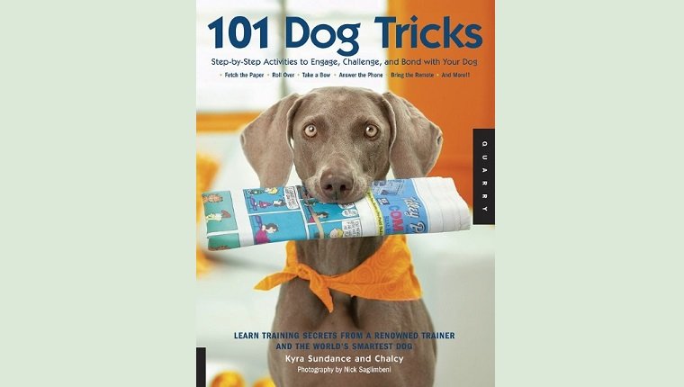 10 Top Rated, Classic Dog Training BooksBy DogTime