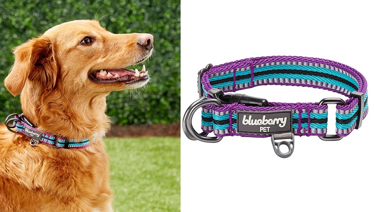 Check Out These Stylish Dog Collars To Show Off Your Pup&#8217;s PersonalityBy Phillip Mlynar