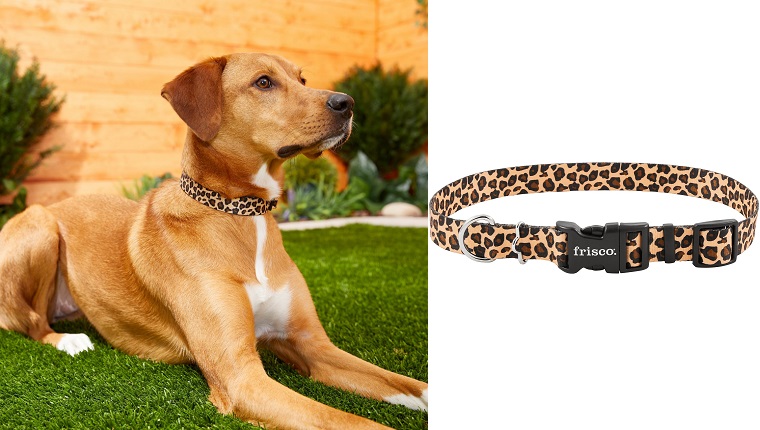 Check Out These Stylish Dog Collars To Show Off Your Pup&#8217;s PersonalityBy Phillip Mlynar