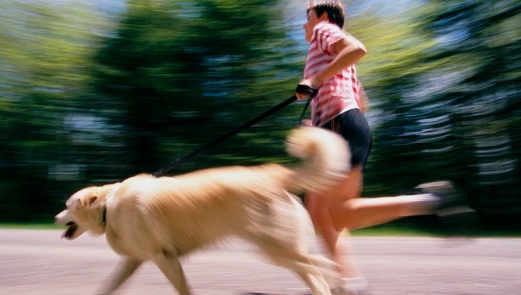 Is Jogging Or Running Safe For Dogs?By Mike Clark