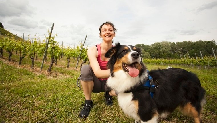 Is Jogging Or Running Safe For Dogs?By Mike Clark