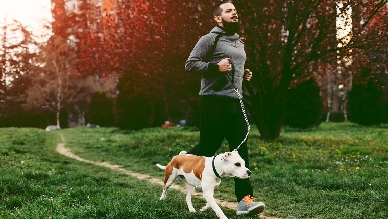 Is Jogging Or Running Safe For Dogs?By Mike Clark