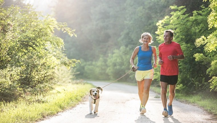 Is Jogging Or Running Safe For Dogs?By Mike Clark