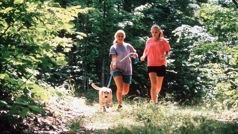 Is Jogging Or Running Safe For Dogs?By Mike Clark