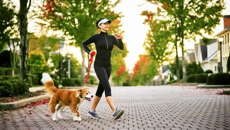 Is Jogging Or Running Safe For Dogs?By Mike Clark