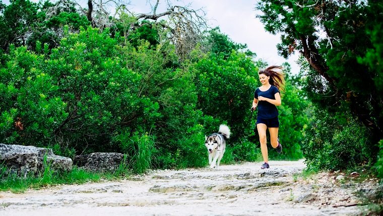 Is Jogging Or Running Safe For Dogs?By Mike Clark