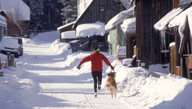 Is Jogging Or Running Safe For Dogs?By Mike Clark