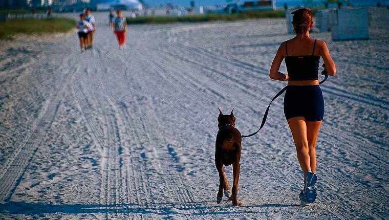 Is Jogging Or Running Safe For Dogs?By Mike Clark