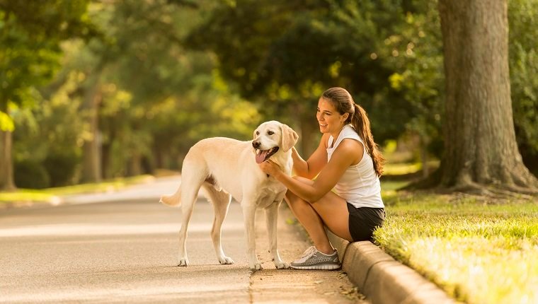 Is Jogging Or Running Safe For Dogs?By Mike Clark