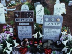 Should I Have A Memorial Service For My Dog?By DogTime