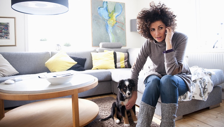 6 Tips So You Can Relax When You Travel Without Your DogBy Higgins