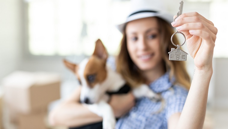 6 Tips So You Can Relax When You Travel Without Your DogBy Higgins