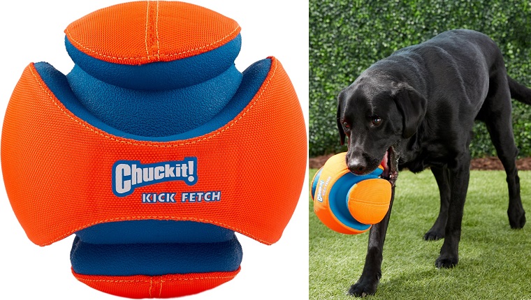 5 Toys Your Dog Will Love Chasing In The Pool Or LakeBy Phillip Mlynar