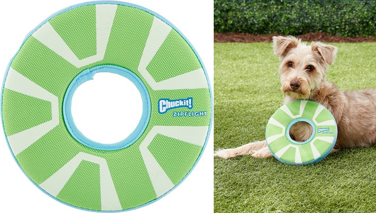 5 Toys Your Dog Will Love Chasing In The Pool Or LakeBy Phillip Mlynar