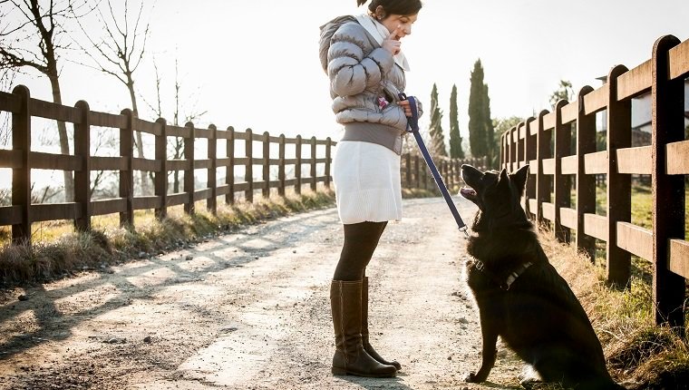 Dear Labby: How Much Should I Let My Dog Sniff On Our Walks?By DogTime