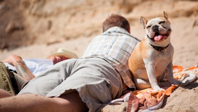 Sunscreen For Dogs: Everything You Need To KnowBy Mike Clark