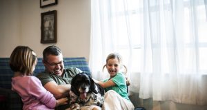 Joint Custody Of The Family Pet?By DogTime