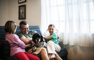 Joint Custody Of The Family Pet?By DogTime