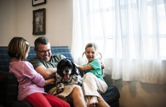 Joint Custody Of The Family Pet?By DogTime