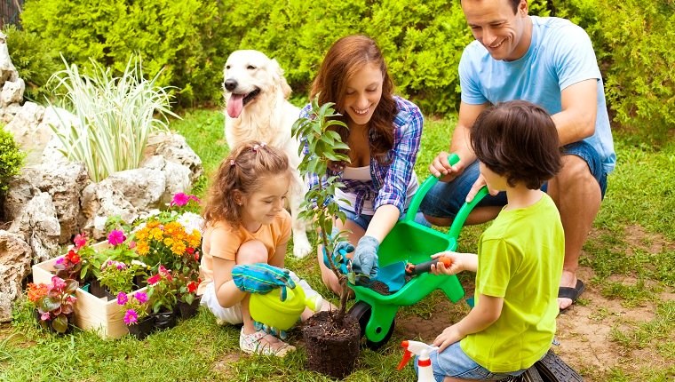 Garden Chemicals And Pets: How To Keep Your Dog SafeBy DogTime