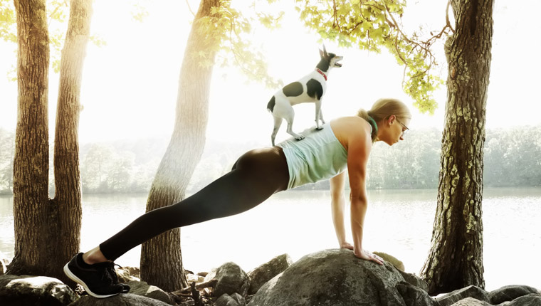 Doga: What Is Dog Yoga? Can Your Dog Do It?By Beth Meadows