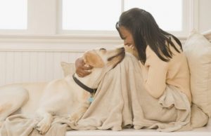 How Can I Get A Dog To Trust Me?By Phillip Mlynar